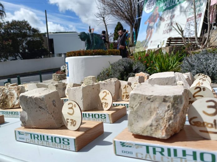 WhatsApp Image 2025-03-16 at 14.00.15